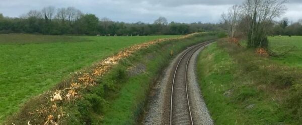 Irish Rail to reassess hedgecutting policy during nesting season