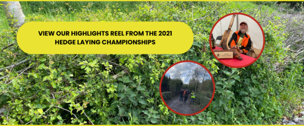 Highlights Reel – 2021 Championships