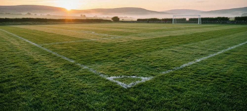 From Living Hedges to Football Pitches: How Ireland Cares for Its Ground